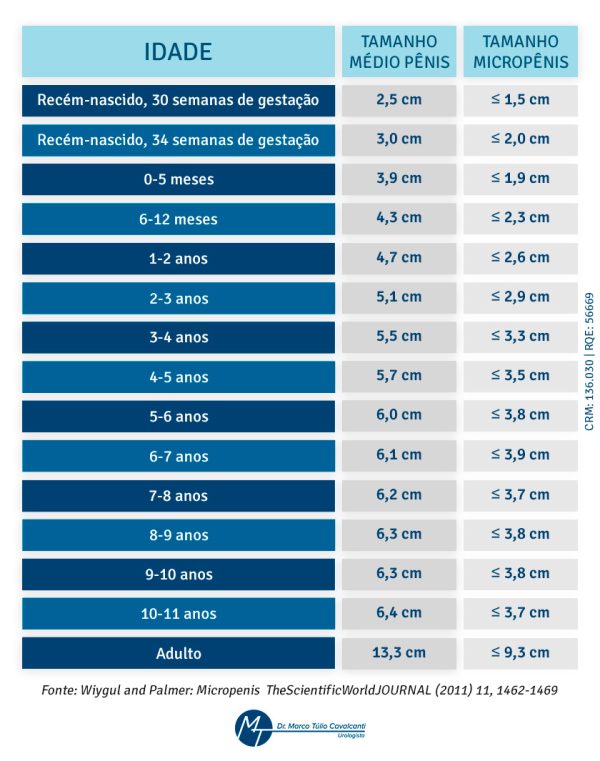 Tamanho Do Pênis Será Que O Seu Está Na Média 9889