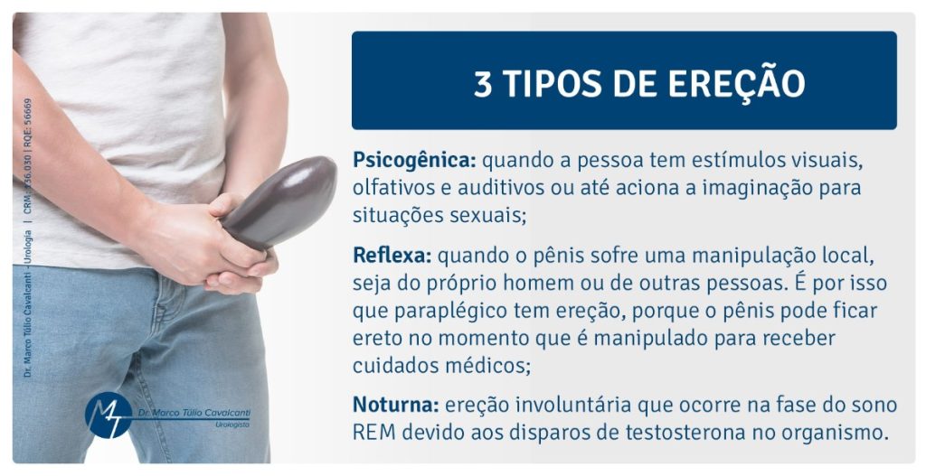 There are 3 types of Psychogenic erection: when the person has visual, olfactory and auditory stimuli or even triggers the imagination for sexual situations; Reflex: when the penis undergoes local manipulation, either by the man himself or by other people. This is why a paraplegic has an erection, because the penis can become erect the moment it is manipulated to receive medical care; Nocturnal: involuntary erection that occurs in the REM sleep phase due to testosterone shots in the body.